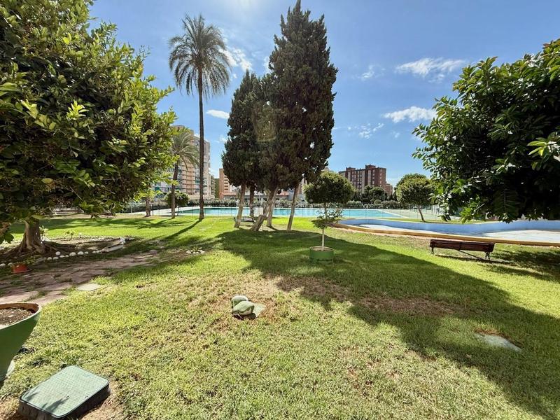 Foto b31a4b0a-e525-4448-a25c-f45e09ea63bc. Estudio exclusiva estudio reformado, con piscina, parking y vistas zona juzgados en Benidorm