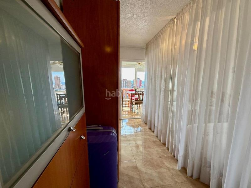 Foto e4398b33-2623-475e-b4d2-02b84a3bcfec. Estudio exclusiva estudio reformado, con piscina, parking y vistas zona juzgados en Benidorm