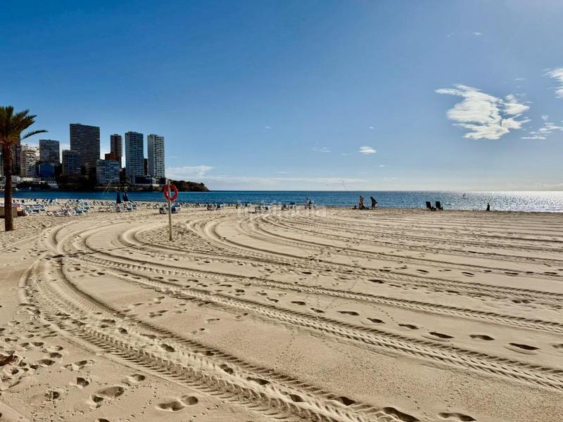 Foto be4505d2-e38d-4ab5-ba70-798c6c5fe0d4. Estudio oportunidad única ! zona levante ubicación privilegiada, sol y rentabilidad junto al mar en Benidorm