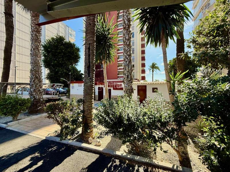 Foto dc0d2507-c043-498b-bbd1-79fc471c976e. Estudio oportunidad única ! zona levante ubicación privilegiada, sol y rentabilidad junto al mar en Benidorm