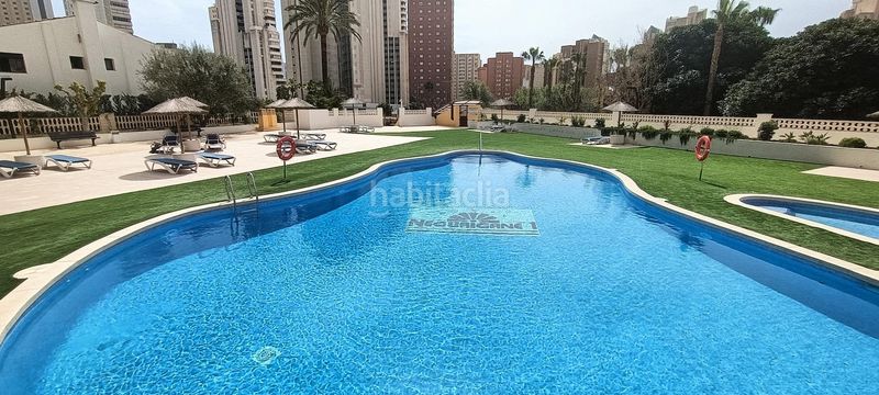 Foto 2682eec2-61e1-483a-9b40-57cb5e9e418e. Apartament amb aparcament piscina a Juzgados - Plaza de Toros Benidorm