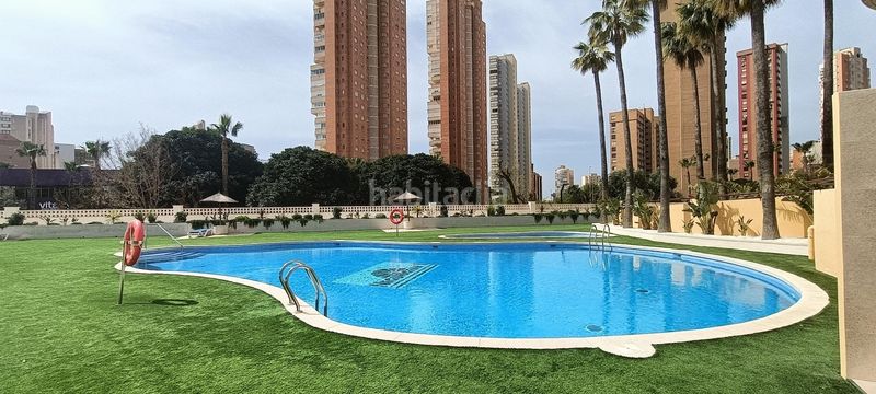 Foto 7c5d905f-60aa-45c4-bf0d-60c0dd975450. Apartament amb aparcament piscina a Juzgados - Plaza de Toros Benidorm
