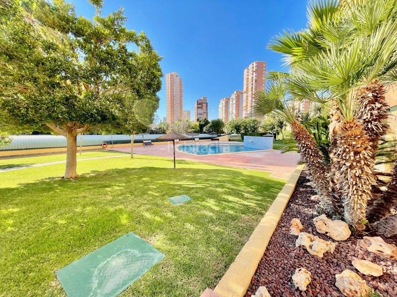 Foto 1aad978f-50fd-4caf-88d5-80e86d7f639e. Apartament amb aparcament piscina a Juzgados - Plaza de Toros Benidorm