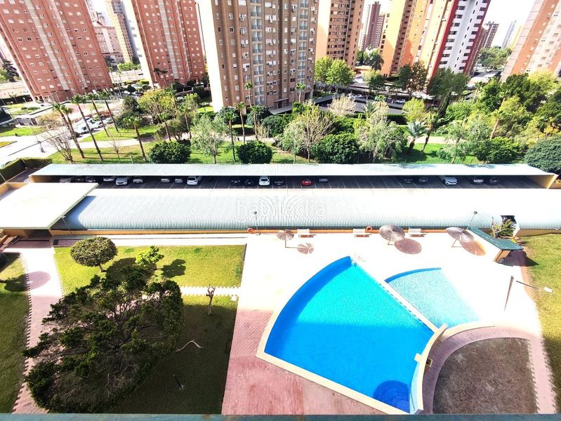 Foto 3fc7e142-8ead-4f3c-bb3c-496efefb7f76. Apartament amb aparcament piscina a Juzgados - Plaza de Toros Benidorm