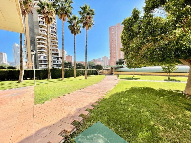 Foto 67fef0e4-0f3d-4266-ae81-8384b08a0eb6. Apartament amb aparcament piscina a Juzgados - Plaza de Toros Benidorm