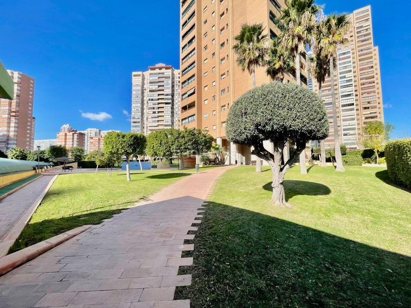 Foto a5c83b0b-a983-48bb-bfd9-f3c68bd77566. Apartament amb aparcament piscina a Juzgados - Plaza de Toros Benidorm