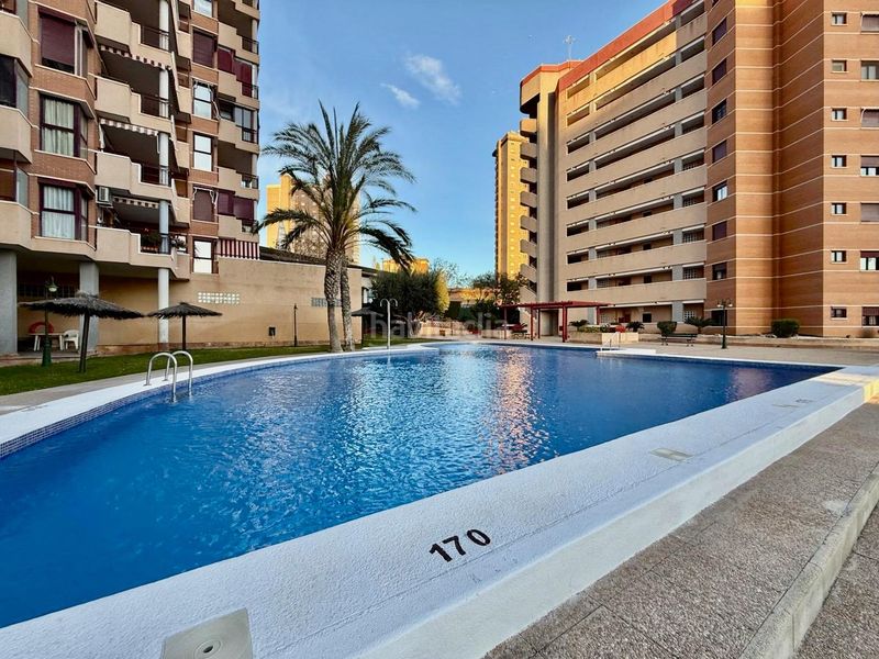 Foto 2c91c5ea-3b67-4e8b-917e-8942cc6ef3e2. Apartament amb piscina a Playa Poniente Benidorm