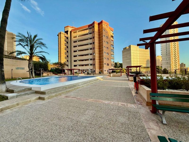 Foto 3bf33314-30aa-4f47-84de-5534bc52b12f. Apartament amb calefacció aparcament piscina a Playa Poniente Benidorm