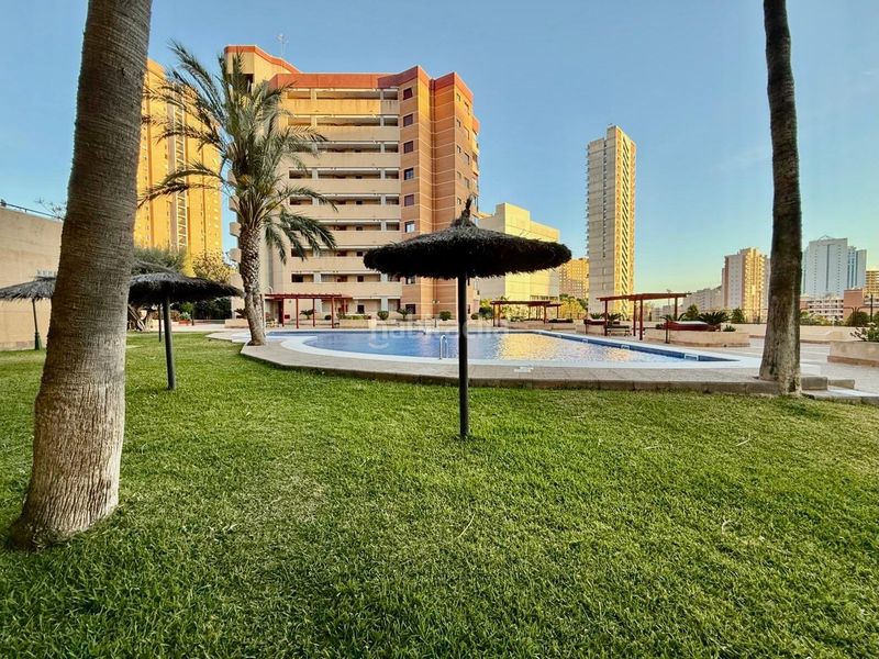 Foto c73cd844-9374-4d9b-b30b-81215167d21f. Apartament amb calefacció aparcament piscina a Playa Poniente Benidorm