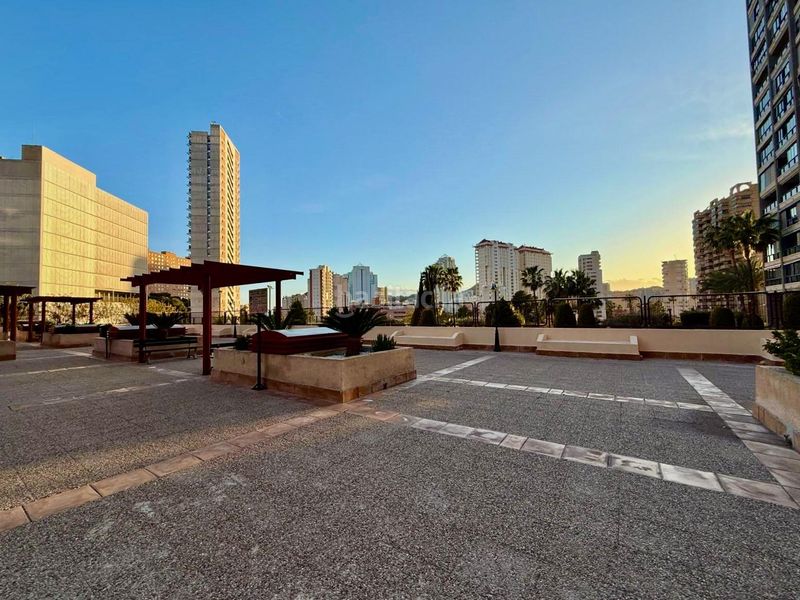 Foto e06d831a-51cf-409b-b45e-7f08d350967c. Apartament amb piscina a Playa Poniente Benidorm