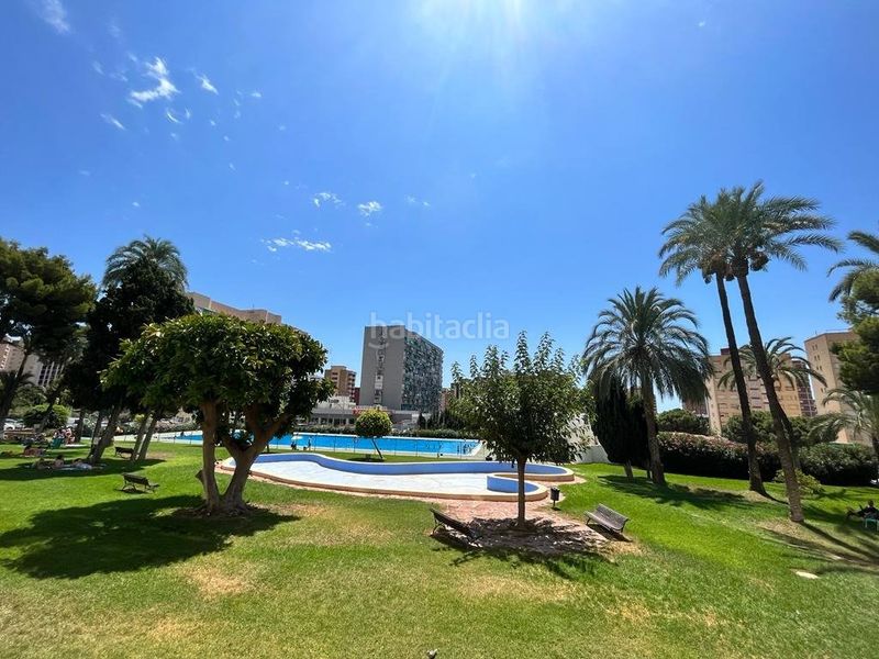 Foto 6ec54928-86e2-4ed0-ba24-f4c311043a4a. Estudi amb piscina a Juzgados - Plaza de Toros Benidorm