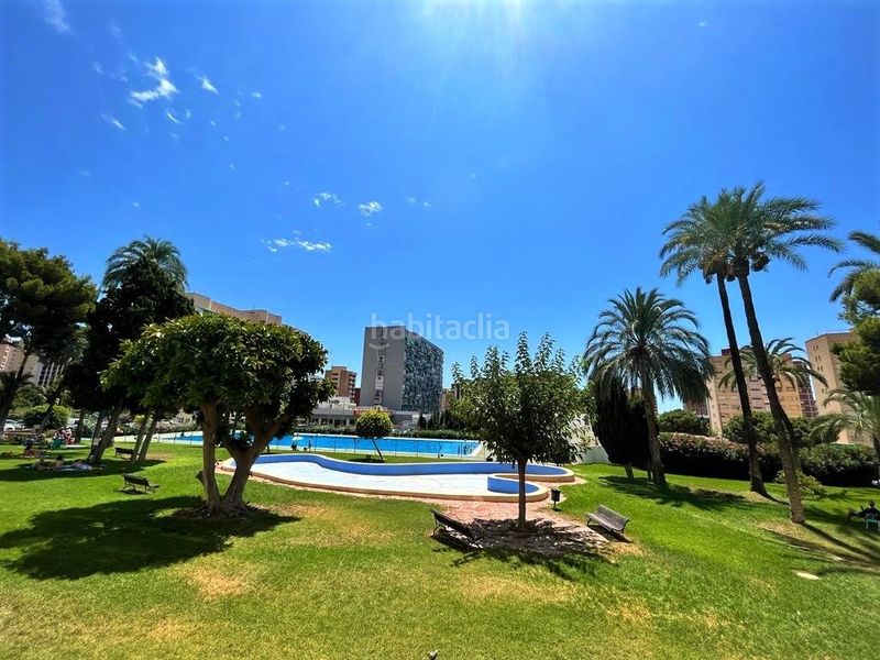 Foto 93e96938-acc1-4659-a910-6858b11fa3d9. Estudi amb piscina a Juzgados - Plaza de Toros Benidorm