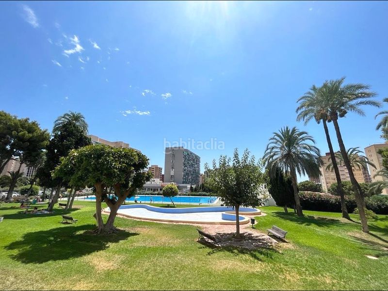 Foto e6da4e79-8ef3-4538-bdf1-d65ce08a904e. Estudi amb piscina a Juzgados - Plaza de Toros Benidorm