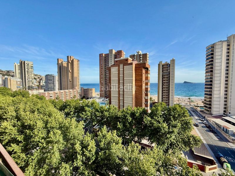 Foto 7881cec0-0be4-4011-b86a-4ec92065f553. Apartament amb aparcament piscina a Playa Levante Benidorm