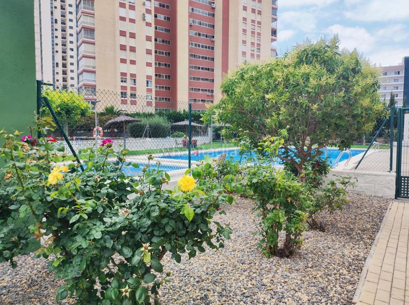 Foto cea6cfb1-db25-4c78-b334-9a9e0cb4c298. Apartament amb calefacció aparcament piscina a Rincón Bajo Benidorm