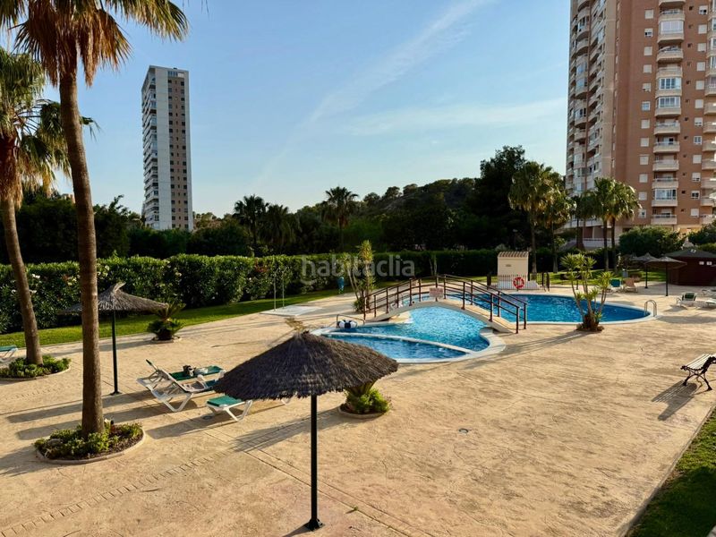 Foto 99b558d1-6d54-4550-97d0-4a9ce7e7a70d. Apartament amb aparcament piscina a Via Parque Benidorm