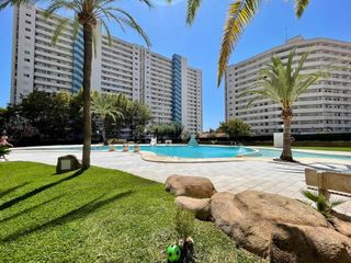 Apartament a Juzgados - Plaza de Toros. Apartamento amplio en una urbanización vallada con piscina y par
