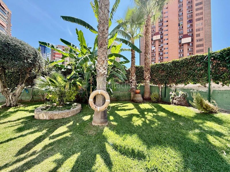 Foto 0ddb3479-87f7-44f6-b980-36a3731c2441. Apartament amb aparcament piscina a Juzgados - Plaza de Toros Benidorm