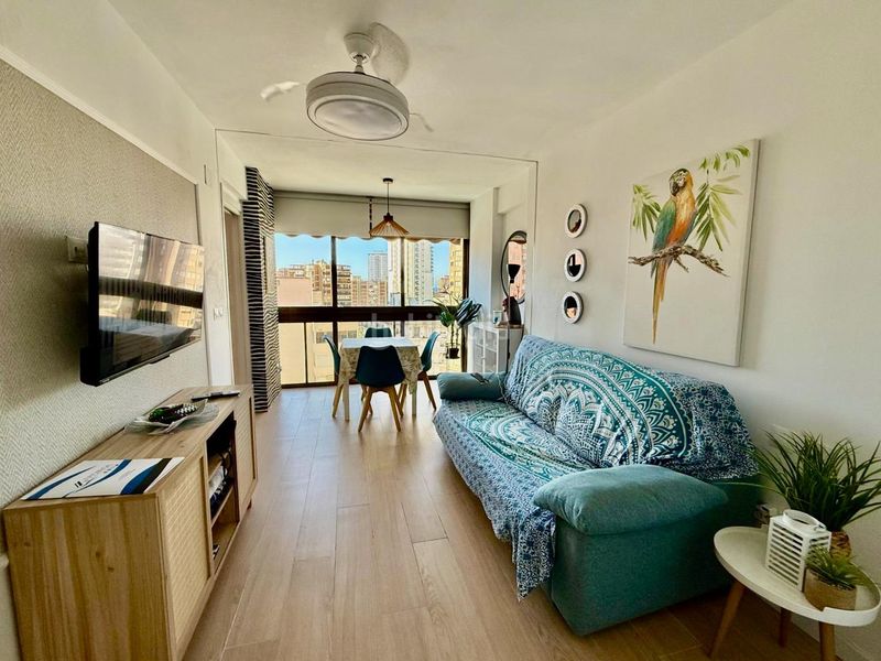 Foto 1ed77957-b5c3-4512-9b25-c0614baba0ab. Apartament amb aparcament piscina a Juzgados - Plaza de Toros Benidorm