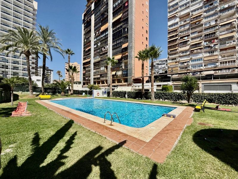 Foto 287ba6ea-70e9-4b1a-a066-9ef48715d1ea. Apartament amb aparcament piscina a Juzgados - Plaza de Toros Benidorm