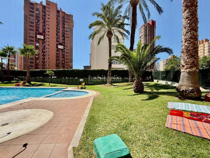Foto 723cddaf-da1c-47d7-9919-db5824f30988. Apartament amb aparcament piscina a Juzgados - Plaza de Toros Benidorm