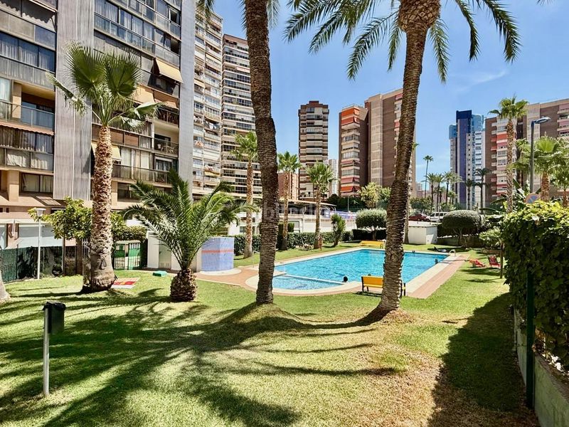 Foto 74a272bd-897f-483f-9658-d8bfe9a1c2c5. Apartament amb aparcament piscina a Juzgados - Plaza de Toros Benidorm