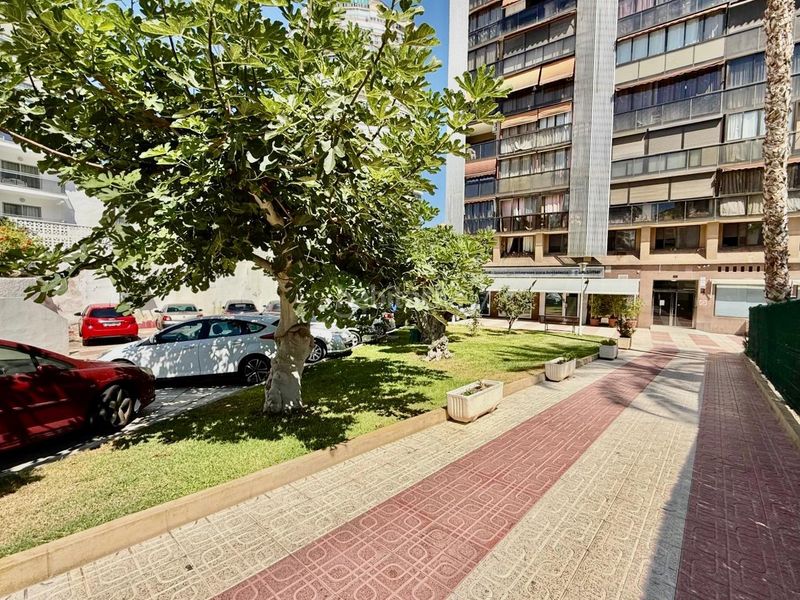 Foto a09a8e61-7ebf-4cdc-a4c0-880c69d2b74c. Apartament amb aparcament piscina a Juzgados - Plaza de Toros Benidorm