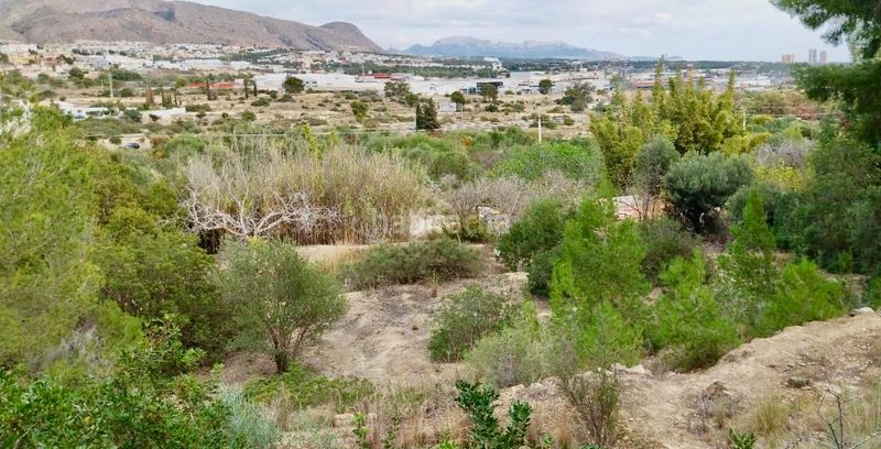 Foto 53c6a300-a49a-4864-b7e6-5a4880784dd7. Finca rústica a Platja de Torres Vila Joiosa (la)