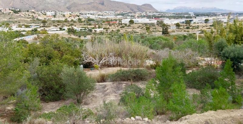 Foto ec0c0056-82fa-4672-b634-1191993d9766. Finca rústica a Platja de Torres Vila Joiosa (la)
