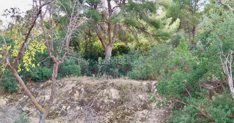 Foto faeb401f-8fe1-45ac-8e37-0f427b1d0871. Finca rústica a Platja de Torres Vila Joiosa (la)