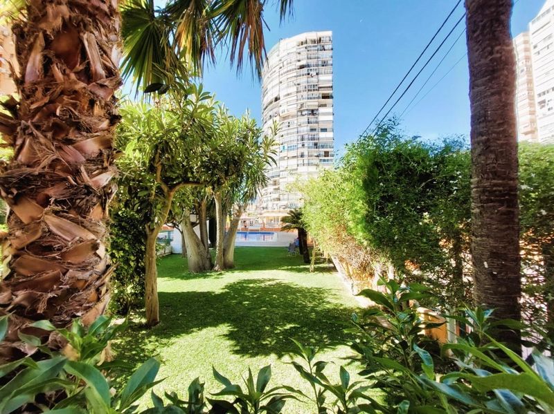 Foto 10549f50-c65c-45b7-9cf7-d3bbe51d3dea. Apartament amb piscina a Juzgados - Plaza de Toros Benidorm