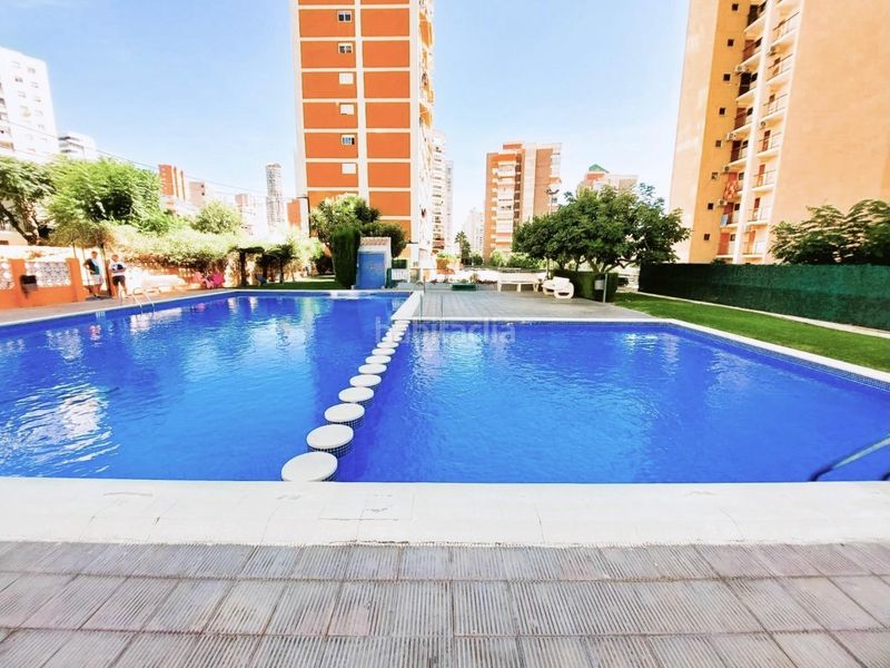 Foto 4fa31060-b581-4db1-b927-d5ca71ae4351. Apartament amb piscina a Juzgados - Plaza de Toros Benidorm