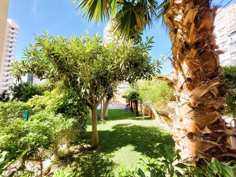 Foto f31b7ccf-57ef-4750-bcbf-9d46dde3e671. Apartament amb piscina a Juzgados - Plaza de Toros Benidorm