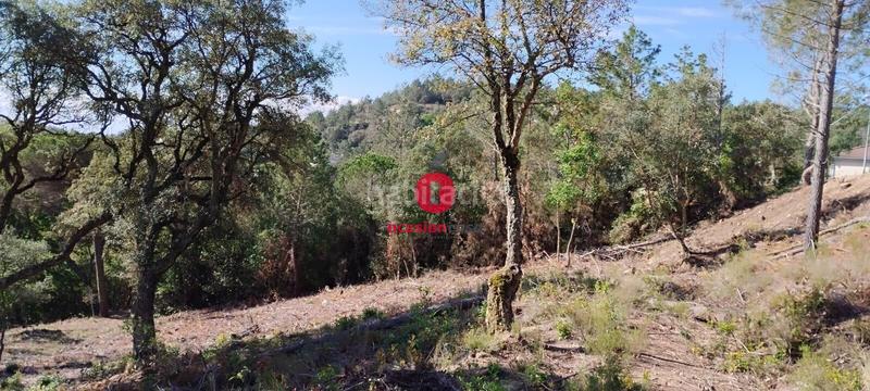 Foto c7dad608-efce-4eaf-9150-5e101f6c9b70. Terreny residencial a calle castor 49 a Riudarenes