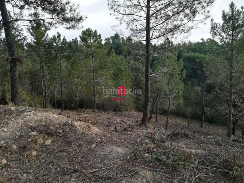 Foto cf7fe9fd-4181-4093-9355-12cad98ab648. Terreny residencial a calle castor 49 a Riudarenes