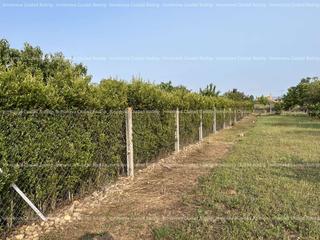 Terreny residencial a Ciudad Rodrigo. Parcela de regadío adaptada a recreo.