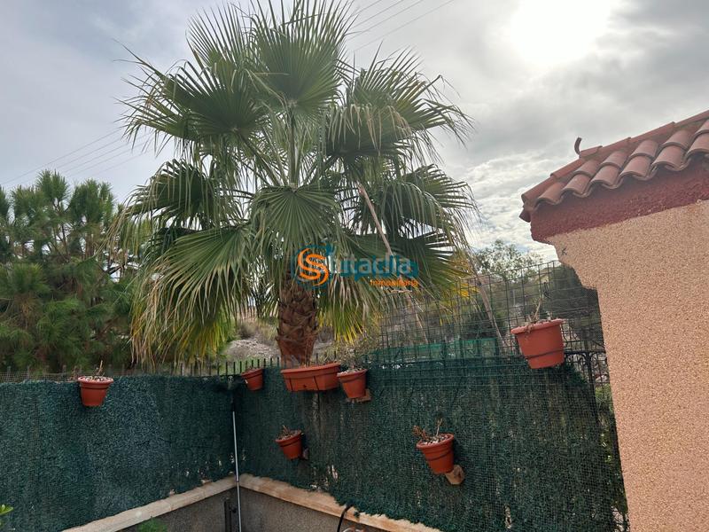 Foto 0b394d21-9775-40e4-b378-ca1027ff92f6. Chalet  independiente en la parte alta de todosol con excelentes vistas, piscina, jardín y huerto en Águilas
