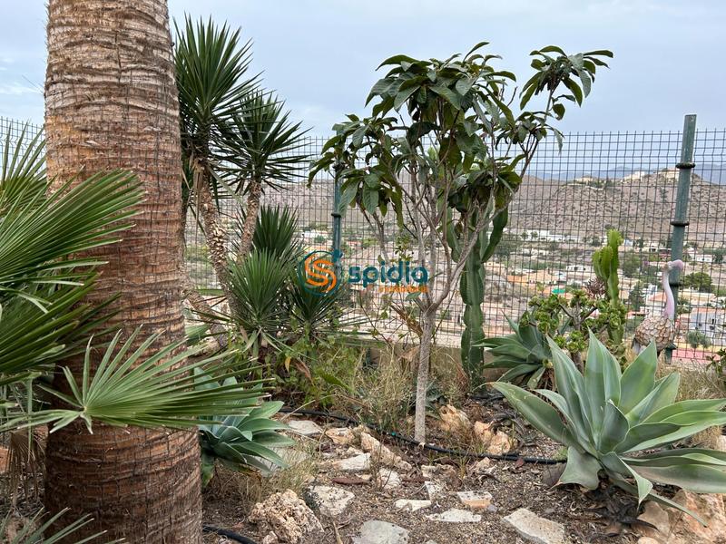 Foto 2882ae6d-728c-4bb0-a642-61541903cb1c. Chalet  independiente en la parte alta de todosol con excelentes vistas, piscina, jardín y huerto en Águilas