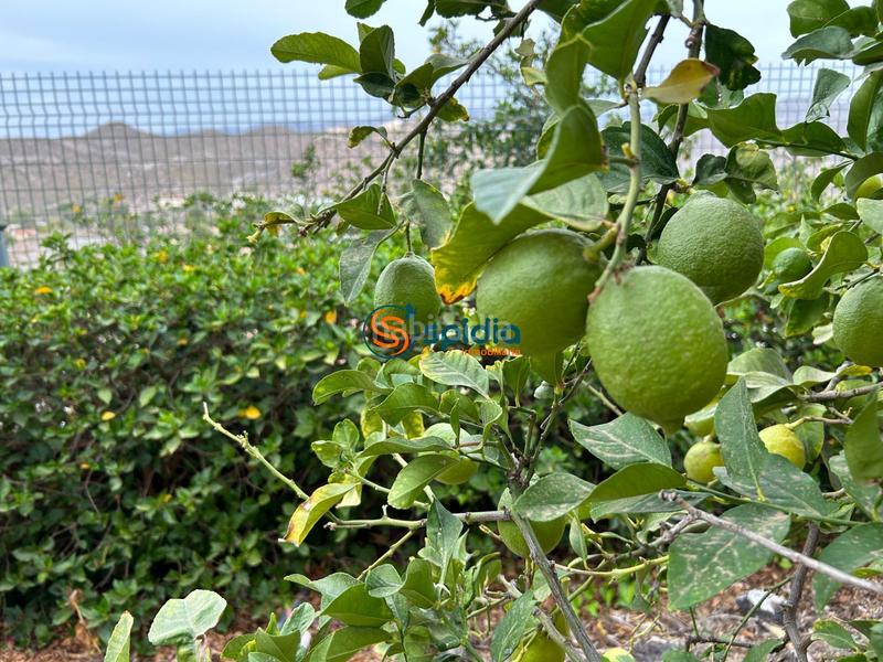 Foto 297f79e9-ee40-4edb-b65c-b3278753d57e. Chalet  independiente en la parte alta de todosol con excelentes vistas, piscina, jardín y huerto en Águilas