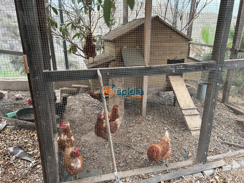 Foto 39689452-8090-4bd1-ac2f-02fe0efac554. Chalet  independiente en la parte alta de todosol con excelentes vistas, piscina, jardín y huerto en Águilas