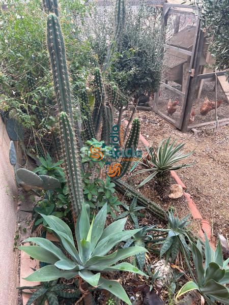 Foto 6076d222-ab93-4bd8-936e-cb34422872a4. Chalet  independiente en la parte alta de todosol con excelentes vistas, piscina, jardín y huerto en Águilas