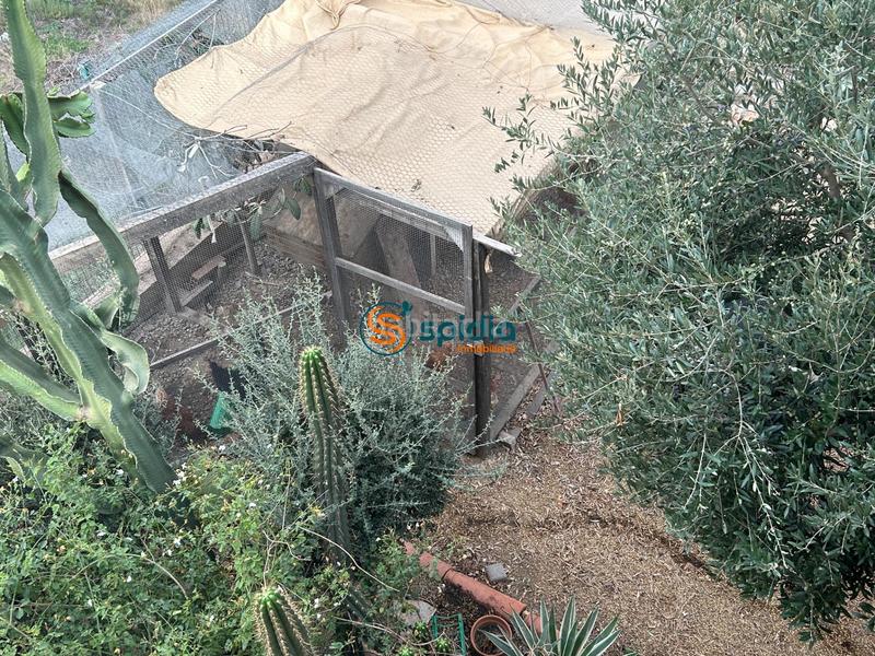 Foto 6b0d04e0-a76d-4a2d-a2b6-49cd11c1f962. Chalet  independiente en la parte alta de todosol con excelentes vistas, piscina, jardín y huerto en Águilas