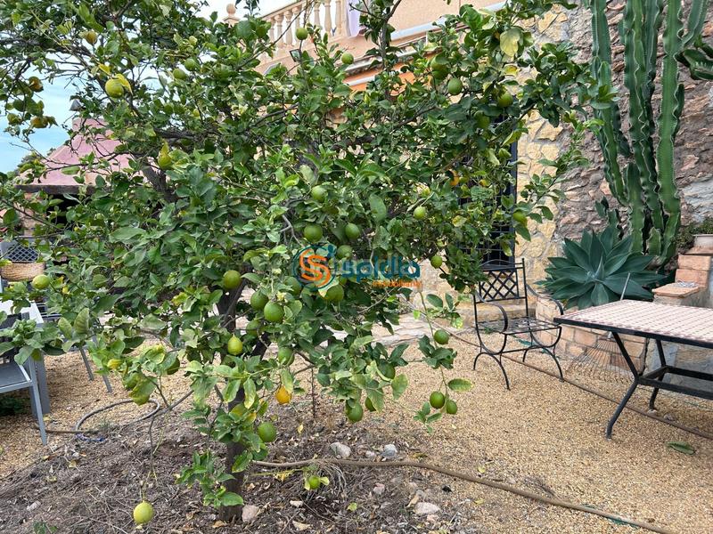 Foto 6f2b4671-6d94-4694-b762-fb0f0d722698. Chalet  independiente en la parte alta de todosol con excelentes vistas, piscina, jardín y huerto en Águilas