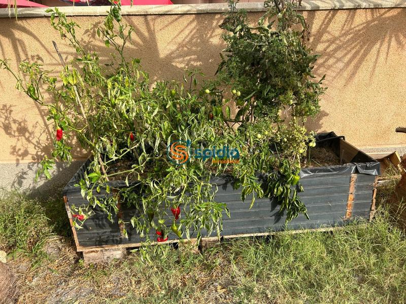 Foto b9e500af-1232-4346-bb03-3bc4f82d9ce3. Chalet  independiente en la parte alta de todosol con excelentes vistas, piscina, jardín y huerto en Águilas