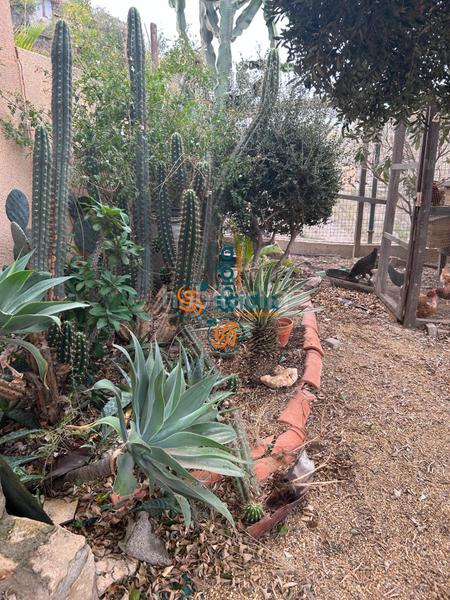 Foto d4868c90-046d-4bef-9cab-457ee3a617b2. Chalet  independiente en la parte alta de todosol con excelentes vistas, piscina, jardín y huerto en Águilas