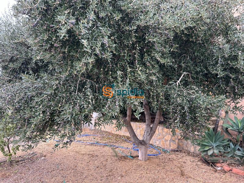 Foto e6bbc64b-ea69-4d17-b1f2-5fb2c62b310a. Chalet  independiente en la parte alta de todosol con excelentes vistas, piscina, jardín y huerto en Águilas