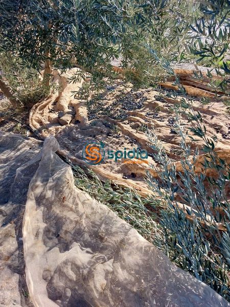 Foto b4395156-58f8-422d-a57e-025c2a1e39af. Masia amb calefacció aparcament a Calabardina Águilas