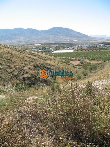 Foto 4c5cfbc9-ae92-4572-9c07-77a8ddce2dee. Terreny residencial a Huércal - Overa