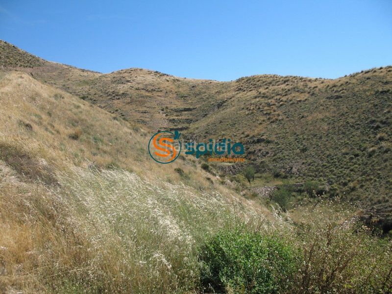 Foto a191762e-0ba0-47dd-8df9-d894e072c91e. Terreny residencial a Huércal - Overa