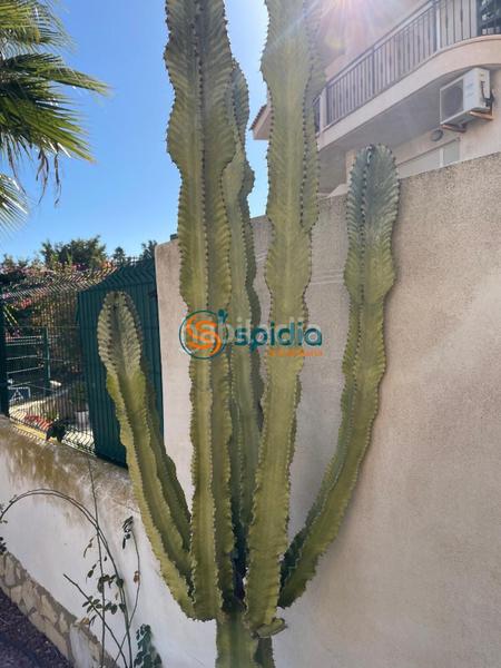 Foto cb51d5b1-70c3-454e-8a35-cf7de3f17c58. Location rez-de-chaussée avec parking piscine dans Los Collados-Los Geraneos Águilas